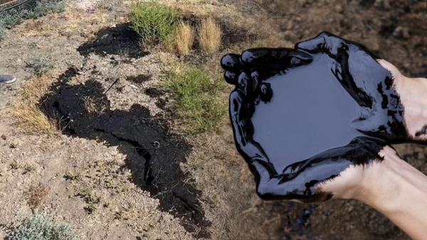 Учителя в Атырау нашли нефть во дворе школы. Они попытались засыпать ее песком
