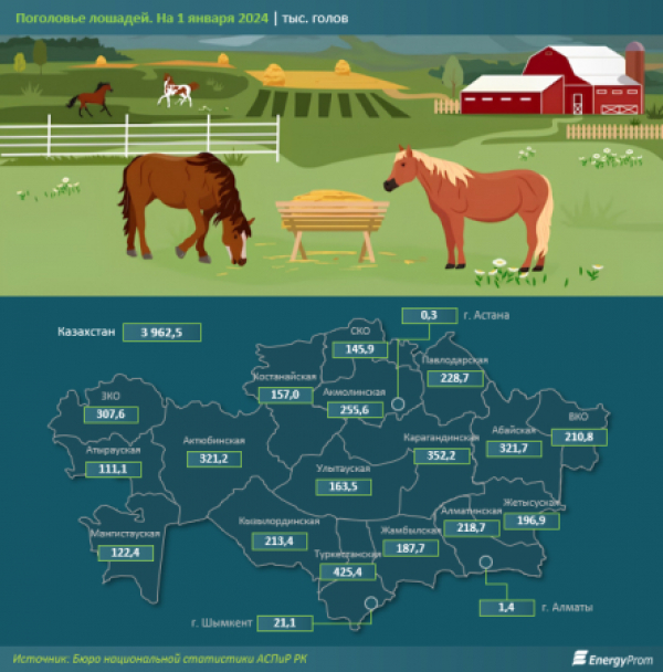 Поголовье лошадей в Казахстане выросло за год