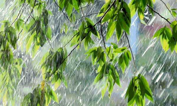 Жара, дожди и грозы: синоптики – о погоде в Казахстане 10 августа