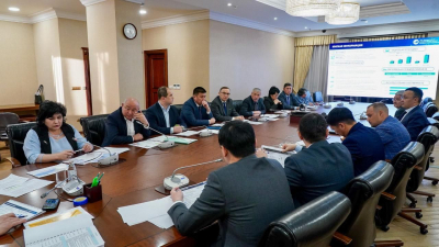 Казахстанским селекционерам поручено создать засухоустойчивые сорта сельхозкультур