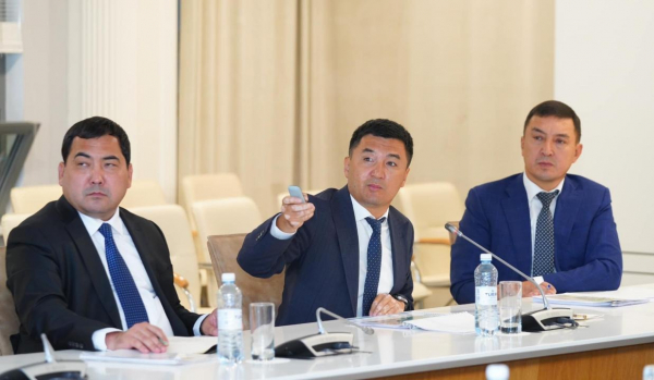 Архитектурные проекты Туркестанской области