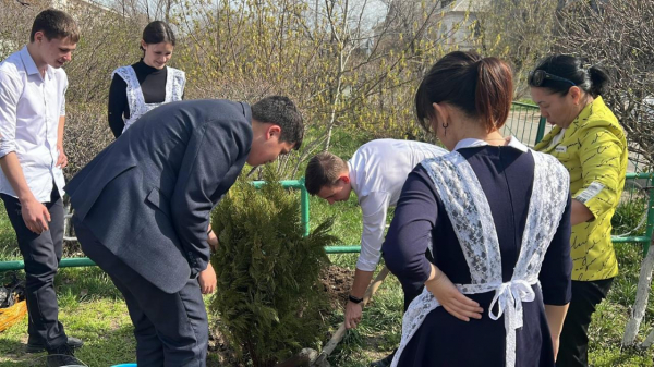 В области Абай выпускники школ посадили деревья