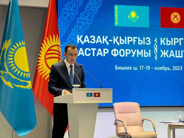 Маулен Ашимбаев принял участие в казахско-кыргызском молодежном форуме
