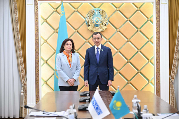 Глава Сената встретился с директором БДИПЧ ОБСЕ