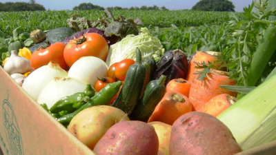 Президент поручил увеличить в 2 раза валовый объем сельхозпродукции