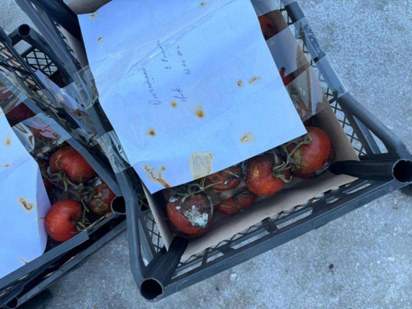 Тонну зараженных томатов из России ввезли в ЗКО