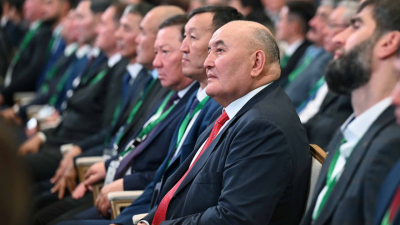 Токаев поднял вопрос целесообразности сдачи деклараций обычными казахстанцами