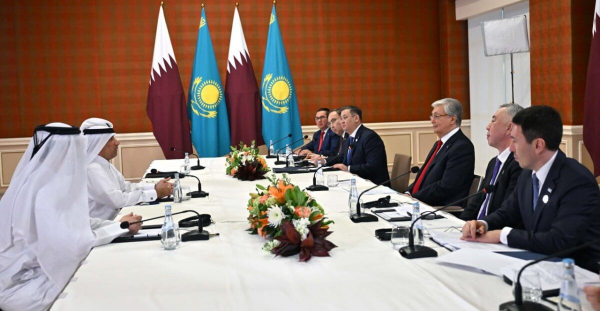 Президент Казахстана принял главу Nebras Power