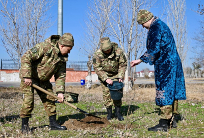 В военном городке посадят сад из 1000 деревьев