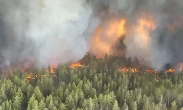 Крупный пожар снова разгорелся в резервате «Семей орманы»