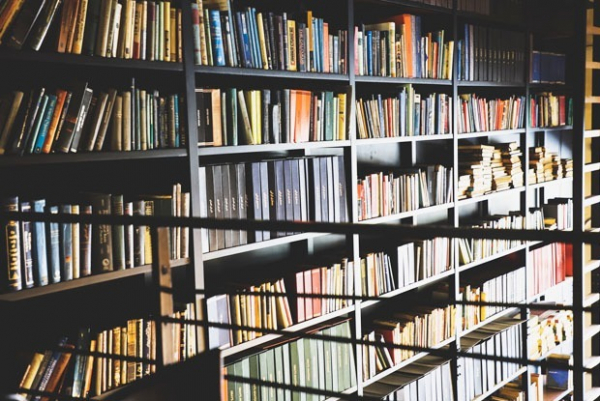 8 грантов, стажировок и конкурсов в декабре