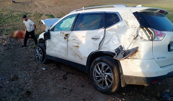 Автомобиль столкнулся со скотом в Карагандинской области: озвучены подробности ДТП