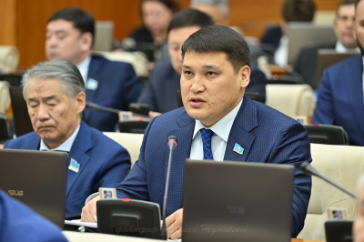 На депутата Бэтмена &ndash; Р.Берденова подают в суд букмекеры