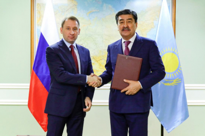 Казахстан готовится принять первых амурских тигров из России