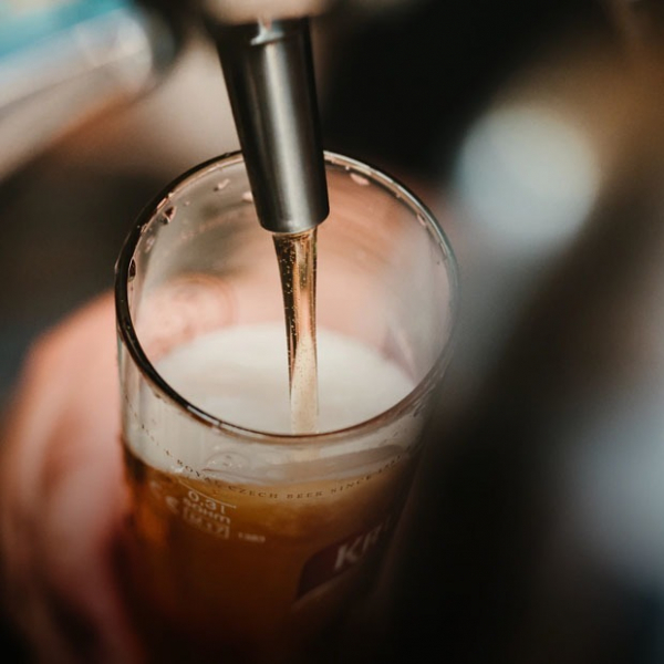 Magic of Nomads, пивной фестиваль и джазовый концерт