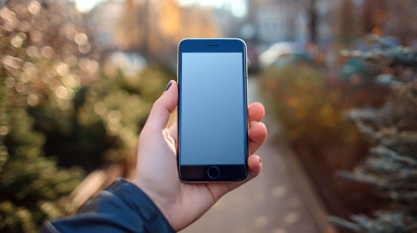 Безработным казахстанцам пришлют SMS с предложением работы на переписи