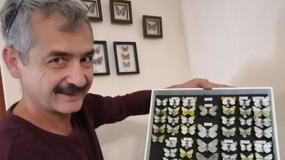 Эффект бабочки: как энтомолога-любителя из Талдыкоргана признали в мировом сообществе ученых