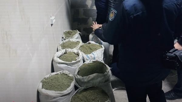 200 кг марихуаны и 600 литров прекурсоров: успешные операции в Актау и Алматы