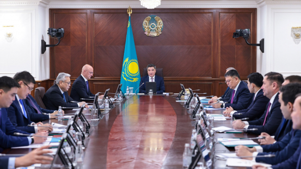 Казахстан внедряет искусственный интеллект в систему здравоохранения