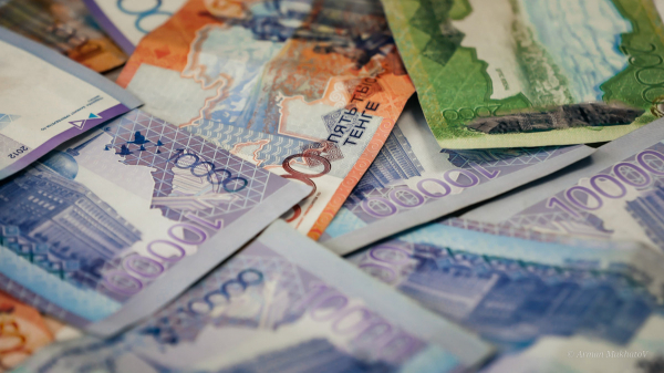 Подросток помог соседке настроить смартфон и оформил на нее кредит в Акмолинской области