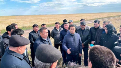Фермеры Акмолинской области боятся остаться без урожая из-за проливных дождей