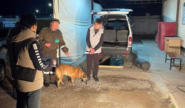 Иностранца с партией наркотиков задержали на границе Казахстана