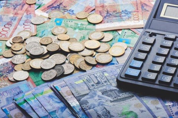 Автоматизация процессов некоторых социальных выплат из ГФСС