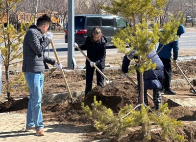 Миллион деревьев и кустарников высадят в Астане в этом году