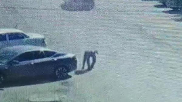 Деньги разлетелись по улице в Акмолинской области (видео)