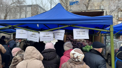 Чем удивили сельскохозяйственные ярмарки Казахстана в конце 2024 года