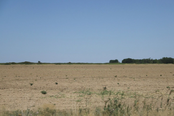 Земля вернулась домой